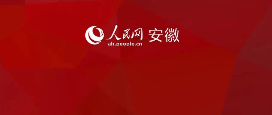 王晓晨履新