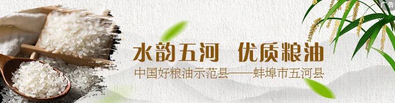 安大江淮学院_安徽大学江淮学院改名叫啥_江淮学院属于安大吗