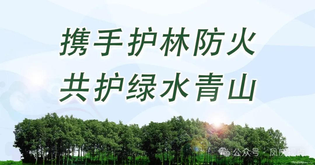 2024年05月15日 凤庆天气