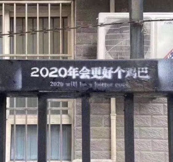 中国疫情、澳洲大火、科比意外去世…这魔幻的2020可以重启吗？（组图） - 16