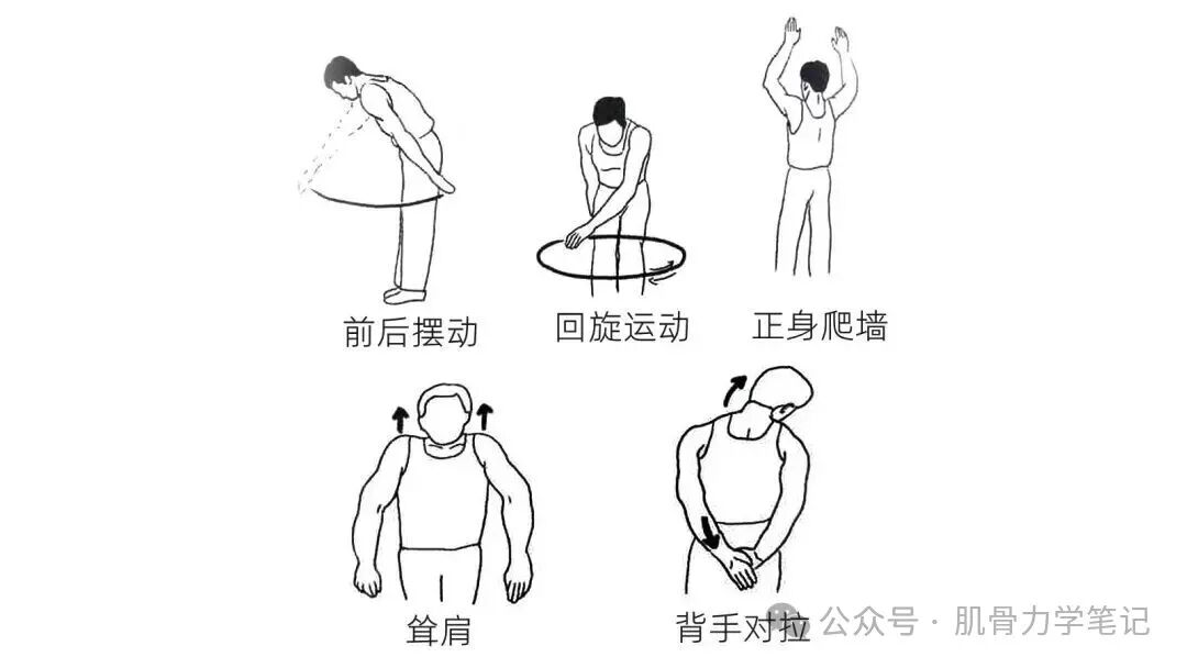 中频为什么能镇痛肩周炎（冻结肩）的综合诊疗思路_https://www.jmylbn.com_新闻资讯_第19张