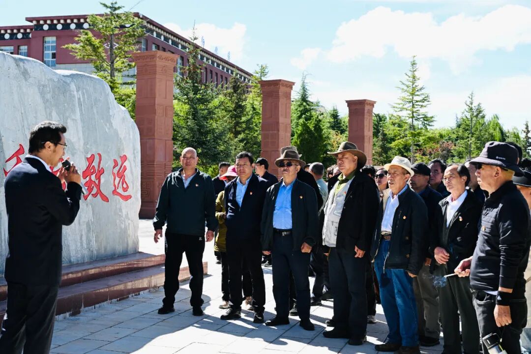 ������80�������ϸɸ�����logo�ٷ���վ���߹ۿ���Ѳιۿ���(ͼ2)