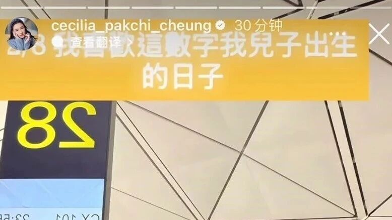 张柏芝赴澳洲陪儿子读书  化身&ldquo;装修工人&rdquo;