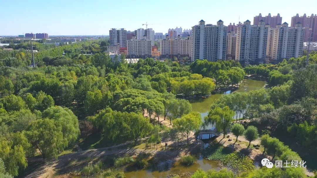 河北省晋州市全力推进省级森林城市建设