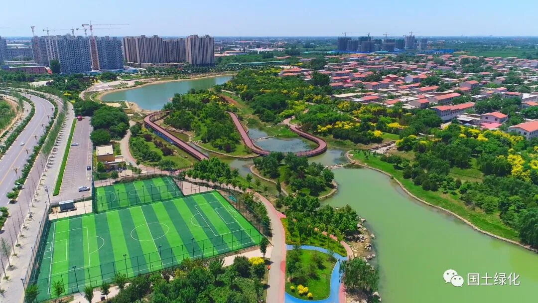 河北省晋州市全力推进省级森林城市建设