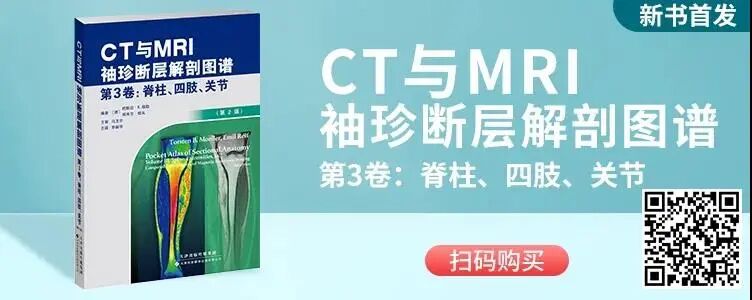 医用头灯国外怎么买【进口定制款】TTL伽利略医用棱镜式放大镜，可配置蝴蝶头灯_https://www.jmylbn.com_新闻资讯_第19张