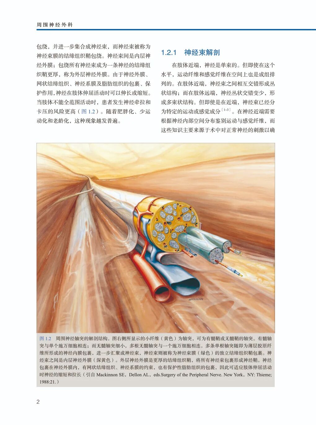 手术头灯眼镜怎么《周围神经外科》Mackinnon教授丰富经验展示，附80个手术视频藏！_https://www.jmylbn.com_新闻资讯_第7张