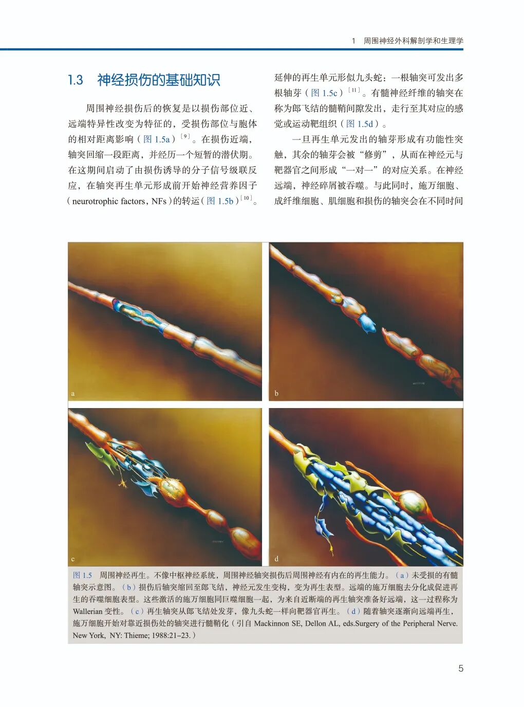 手术头灯眼镜怎么《周围神经外科》Mackinnon教授丰富经验展示，附80个手术视频藏！_https://www.jmylbn.com_新闻资讯_第10张