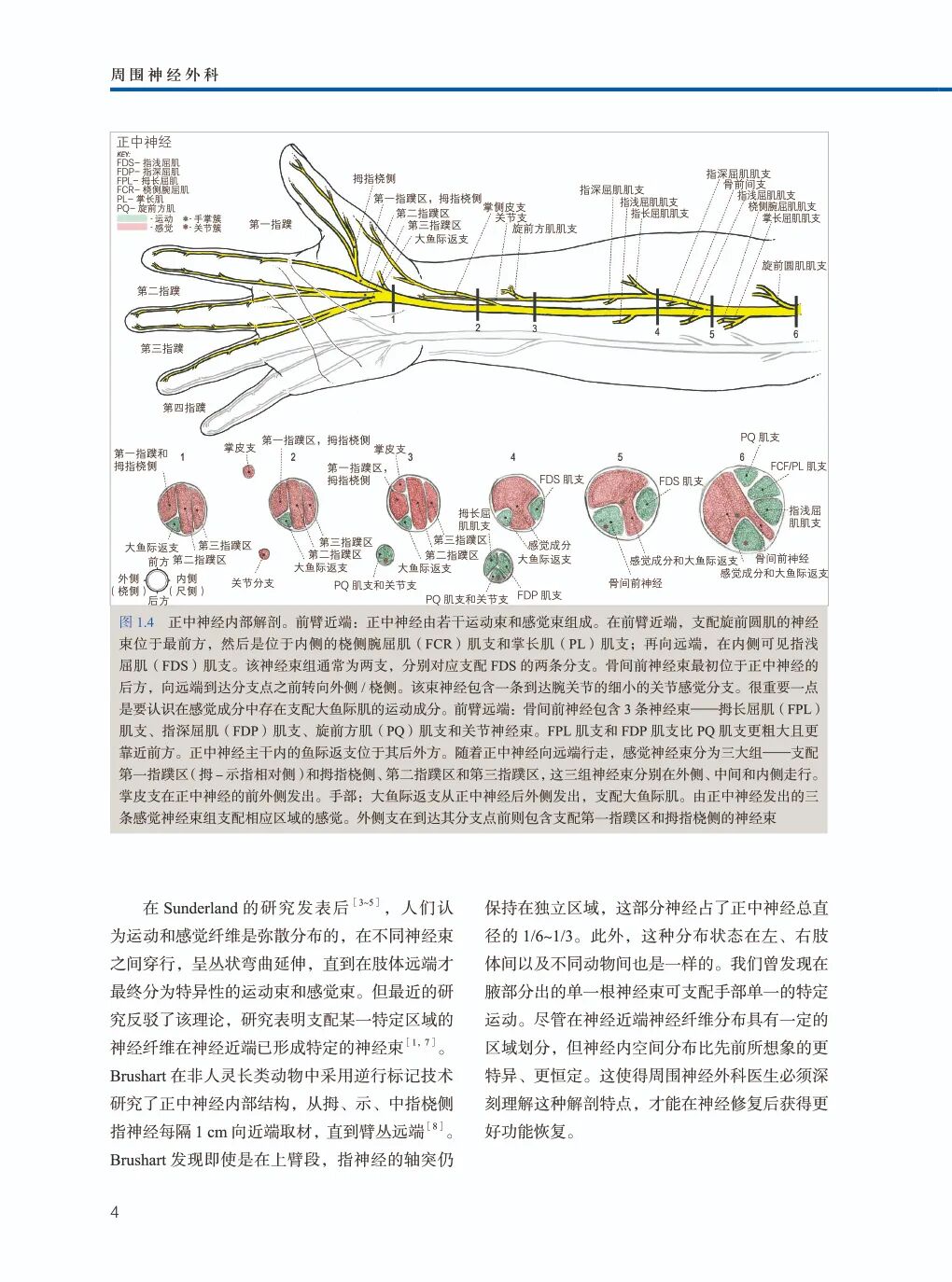 手术头灯眼镜怎么《周围神经外科》Mackinnon教授丰富经验展示，附80个手术视频藏！_https://www.jmylbn.com_新闻资讯_第9张