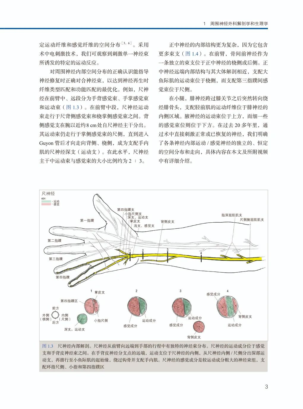 手术头灯眼镜怎么《周围神经外科》Mackinnon教授丰富经验展示，附80个手术视频藏！_https://www.jmylbn.com_新闻资讯_第8张