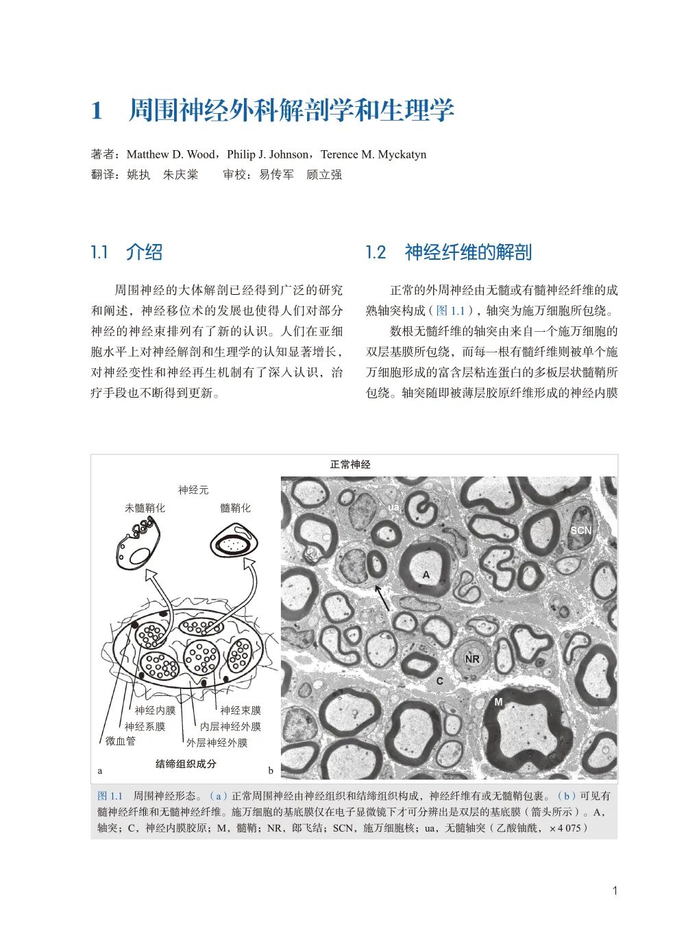 手术头灯眼镜怎么《周围神经外科》Mackinnon教授丰富经验展示，附80个手术视频藏！_https://www.jmylbn.com_新闻资讯_第6张