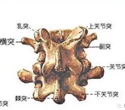 快准稳置入腰椎椎弓根螺钉，这些方法技巧你都掌握了吗？