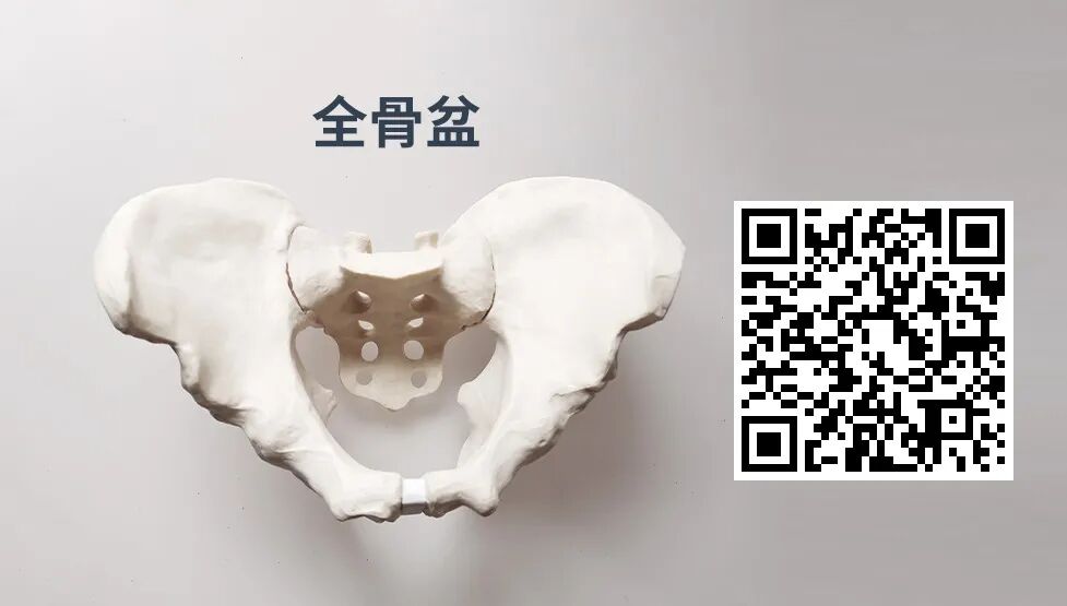 医用头灯国外怎么买最新骨科图书汇总，618大促补贴超值购_https://www.jmylbn.com_新闻资讯_第23张