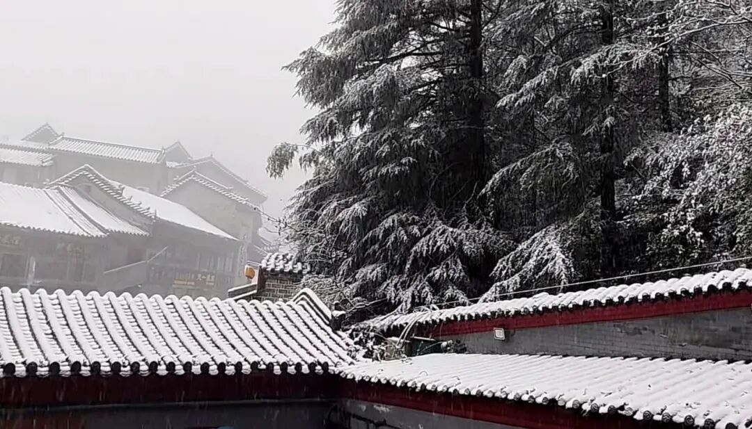 十堰多地下雪！这里积雪超10cm！未来几天......