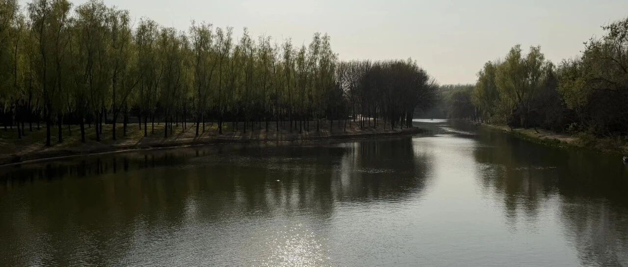 cover_image