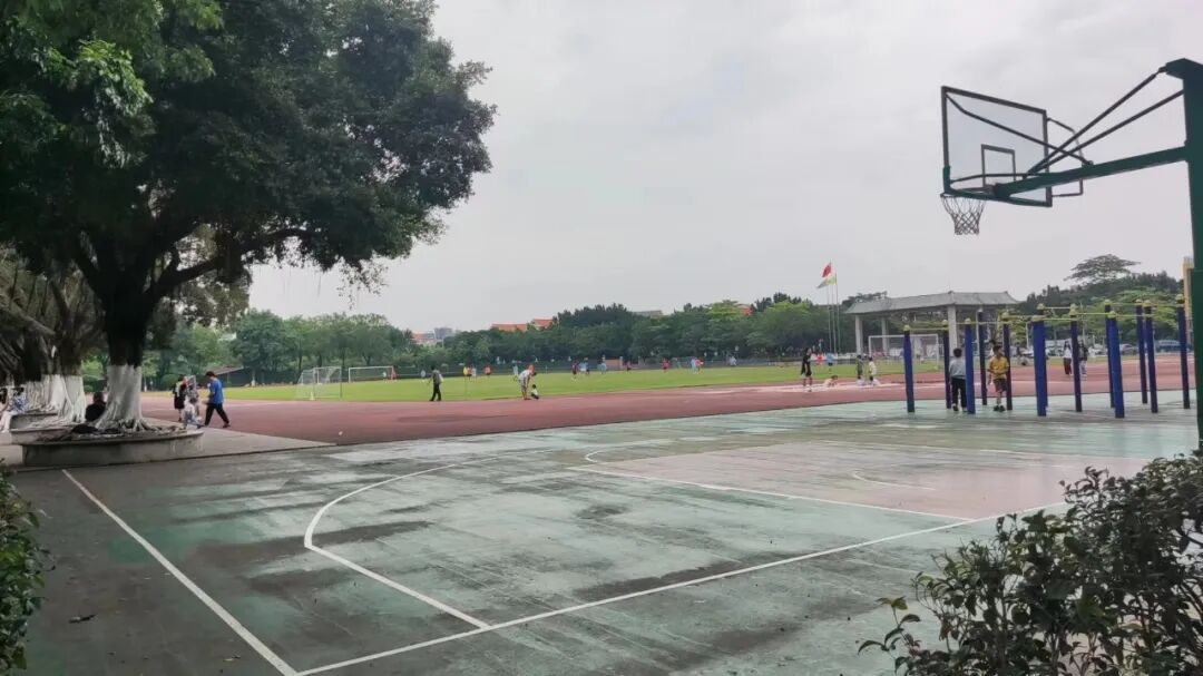 东涌中学开放日,透露了这些重要信息