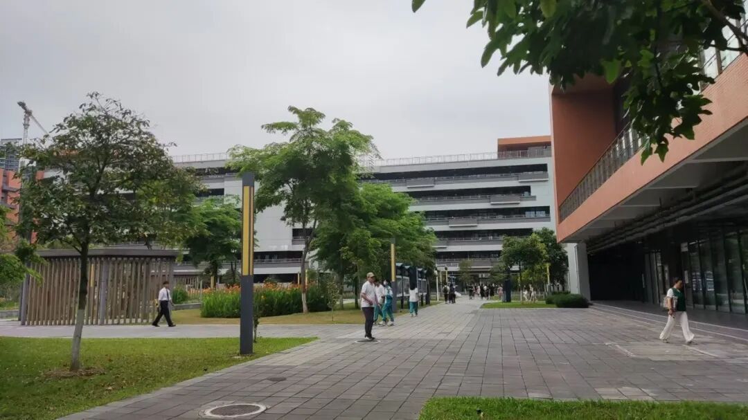 天元学校于2019年开始借址办学,2020年新校落成,占地面积252亩,建筑