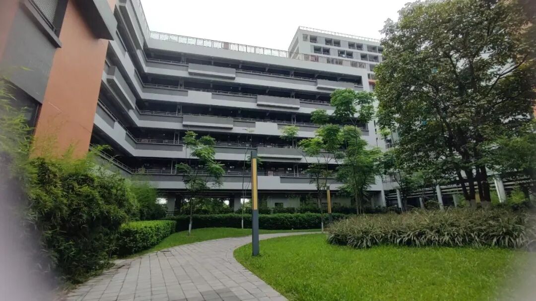 天元学校于2019年开始借址办学,2020年新校落成,占地面积252亩,建筑