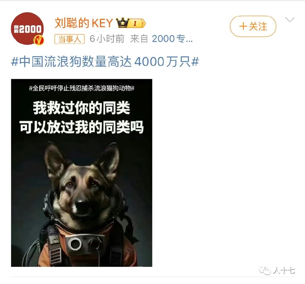 杨迪的狗安乐死了