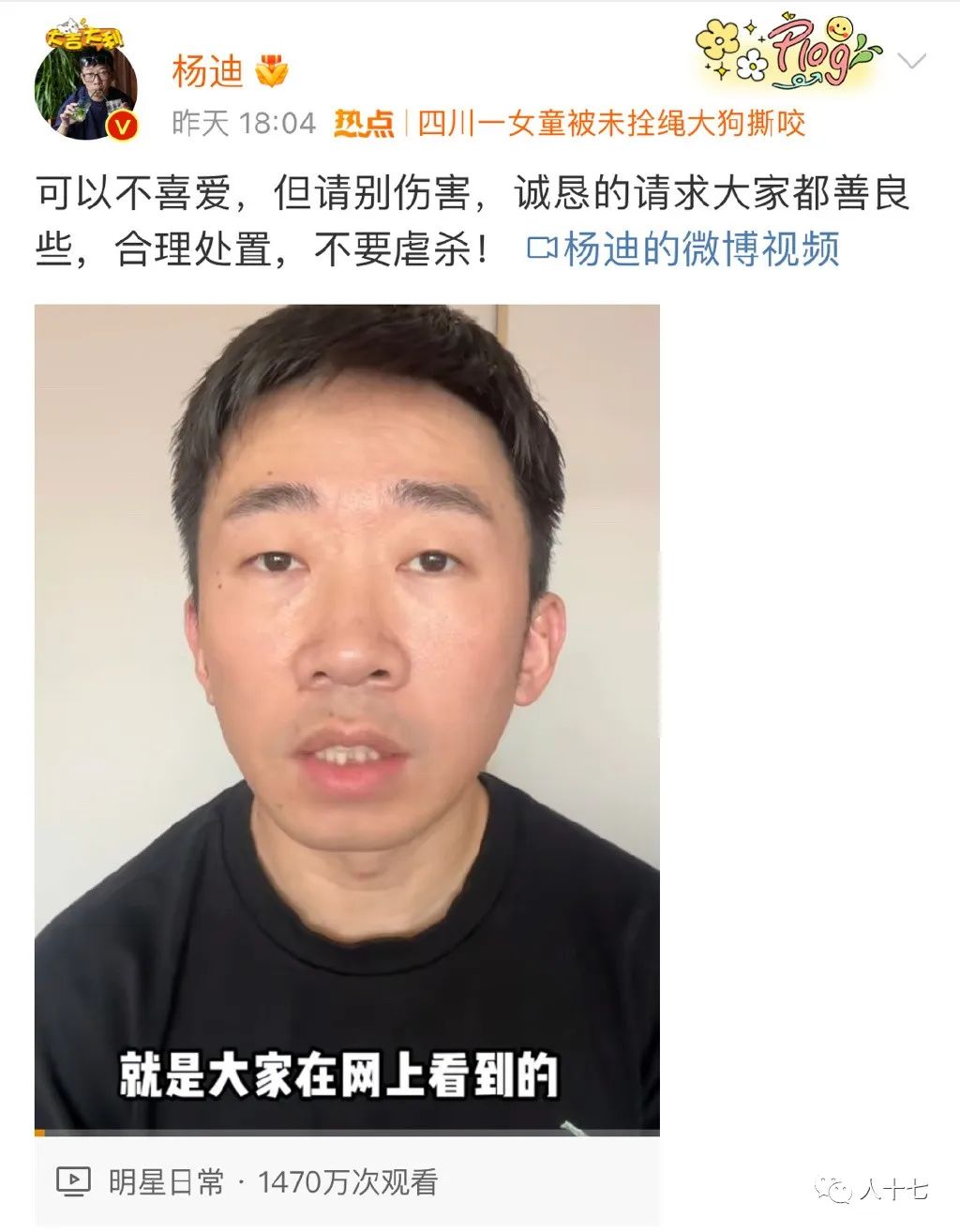 杨迪的狗安乐死了