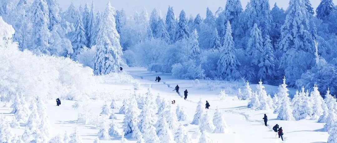 冬季徒步看雪好线路，全在东北和内蒙！