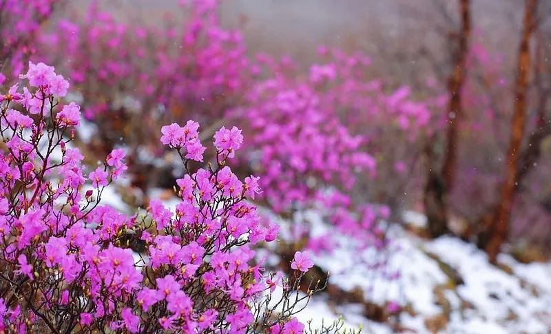 2024年05月17日 葵花药业股票