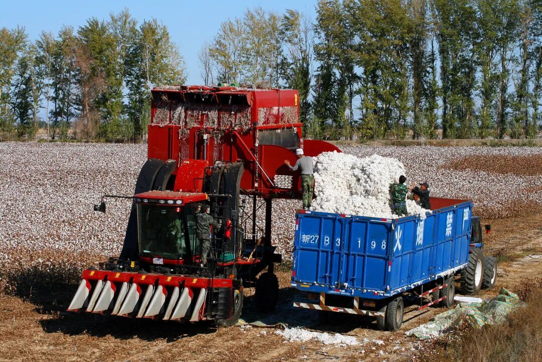 走！这些租赁物也要赶上火爆“新疆游”的列车！