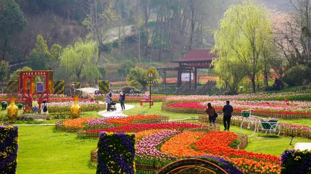 处处充满梦幻色彩便会"郁"上多彩的童话世界四季花海的花千谷不久之后