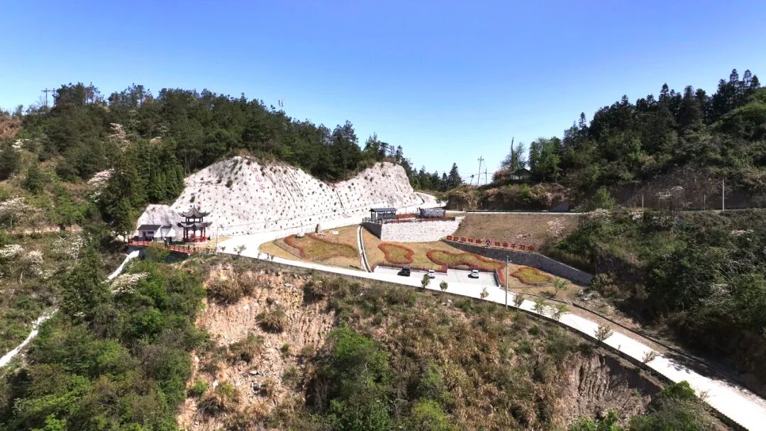 大雾山：岭上开遍桐子花