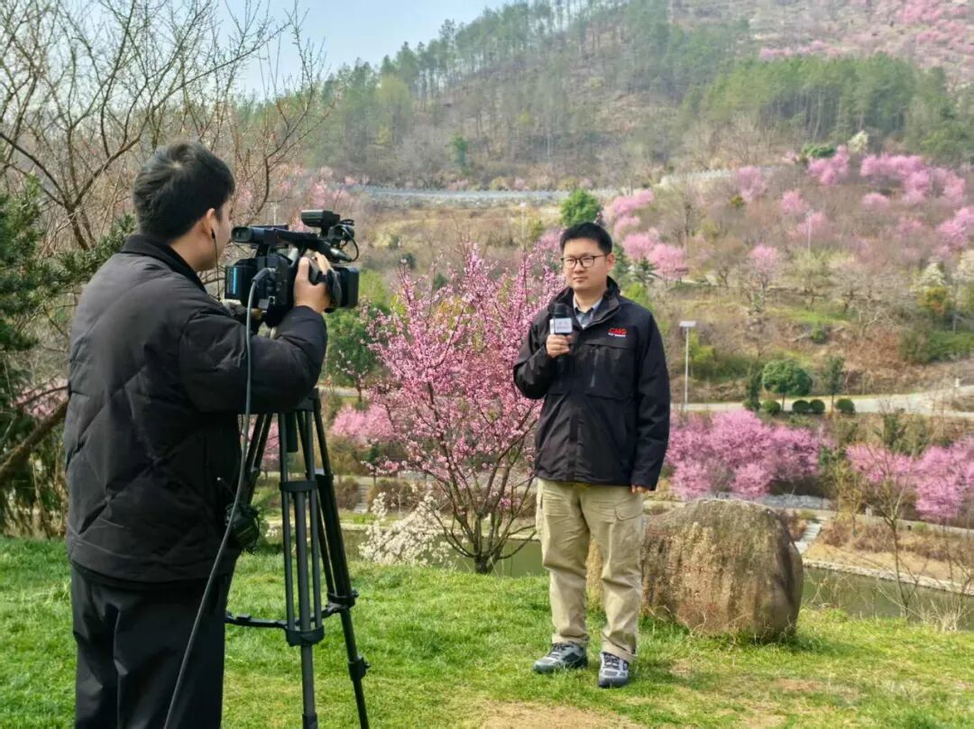 央视CCTV