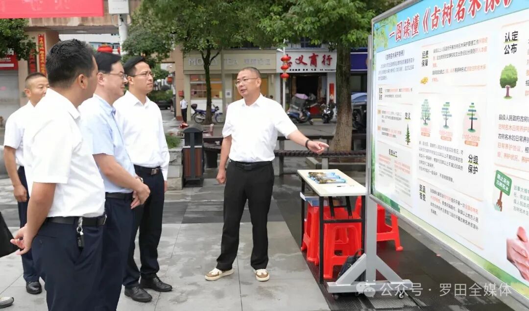 罗田县开展2025年古树名木保护科普宣传周活动