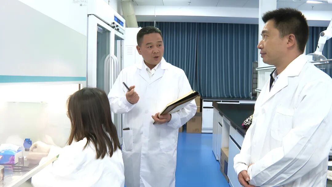罗田县加快茯苓菌种研发  助推中药材产业高质量发展