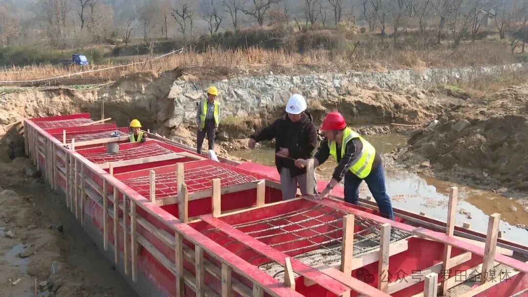 县农业农村局：推进高标准农田建设 赋能种业高质量发展