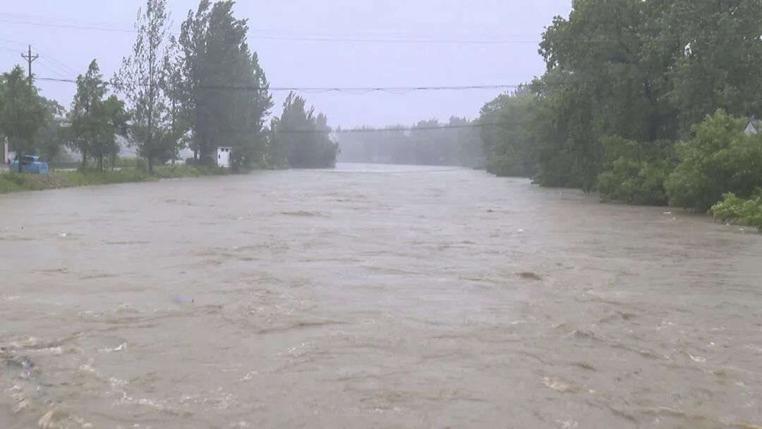 三里畈镇：清理水库沟渠 保障汛期安全
