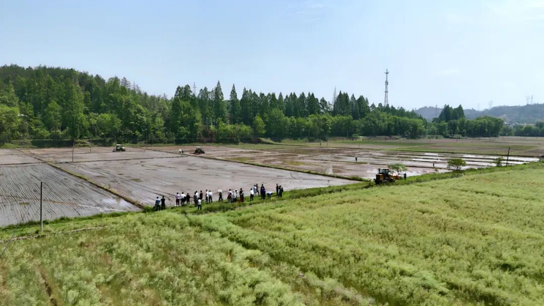 罗田县积极推广新农机新技术 助力现代农业发展“加速度”