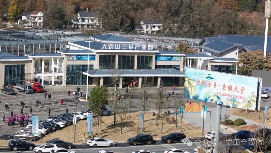 大别山兰花产业园：朵朵兰花绘就产业振兴新蓝图