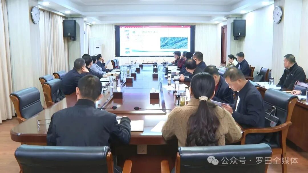 罗田县举行自然资源和规划工作调研会