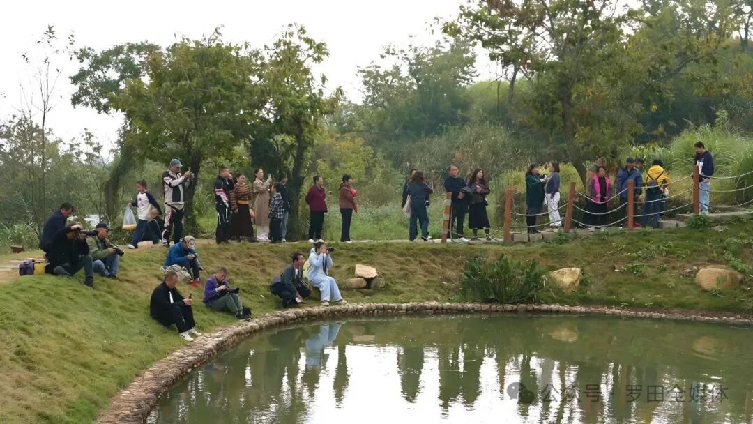 罗田三里畈镇：流域治理绘新景 水系连通展新颜