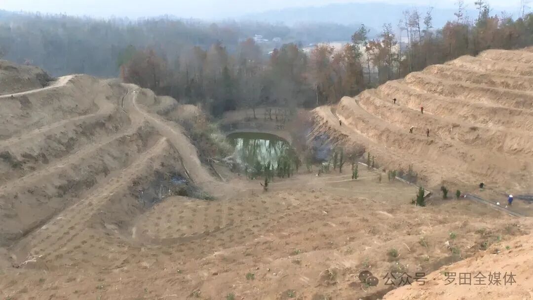 大河岸镇闵家河村：冬季药材种植忙 产业发展有保障