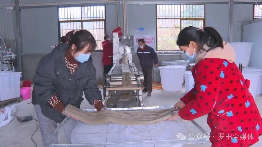 胜利镇洛家畈村：“土疙瘩”变身“金疙瘩” 红薯产业铺就致富路