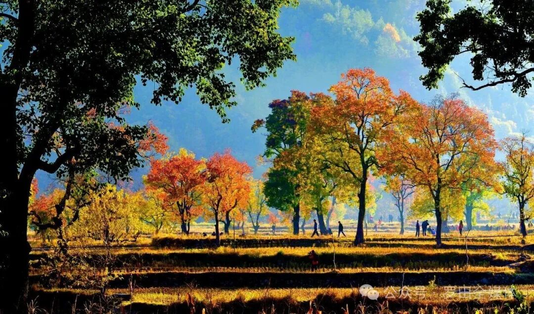 九资河镇：文化赋能强引擎 文旅融合添动力