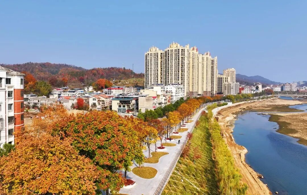 县国投集团：展现国企担当 奋力谱写县域经济高质量发展新篇章