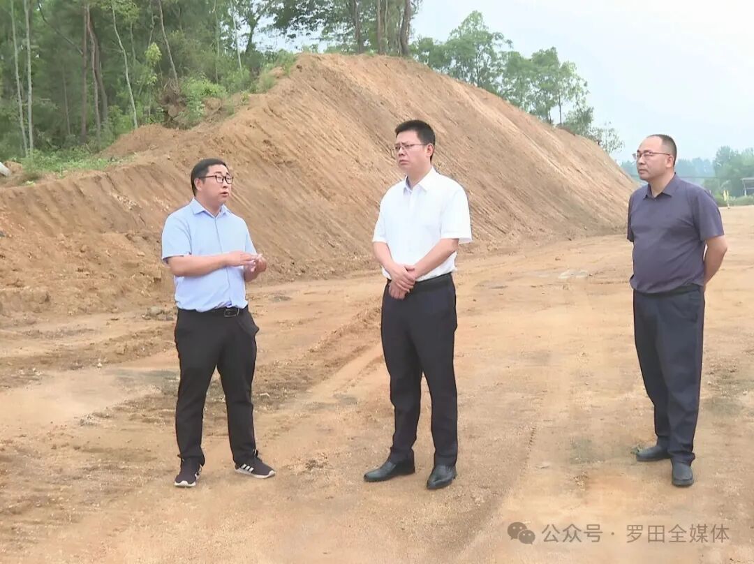 周黎到骆驼坳镇调研乡镇重点工作