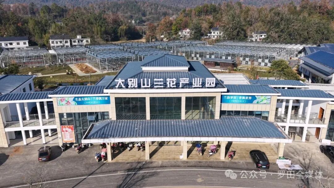 大别山兰花产业园将于11月29日开园 筹备工作进入收尾阶段