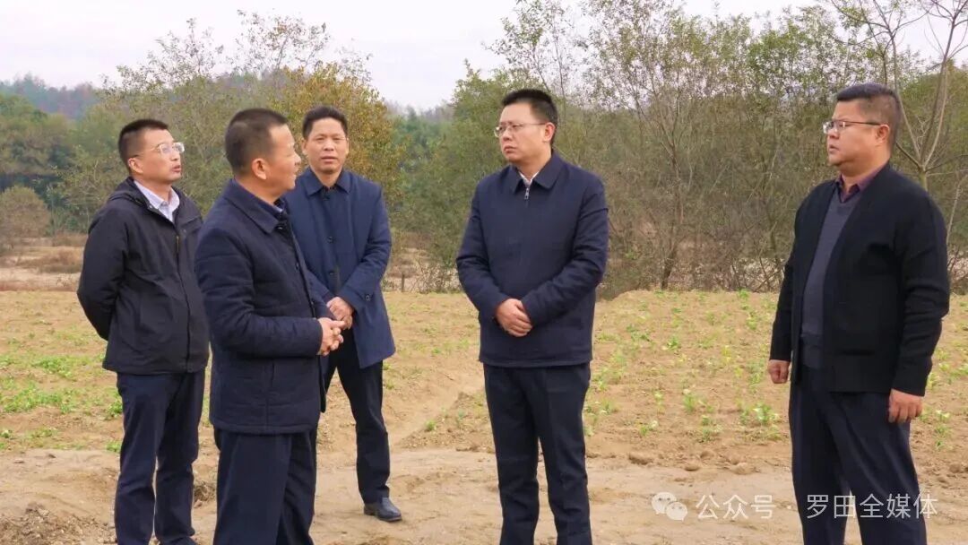 周黎到匡河镇调研巩固拓展脱贫攻坚成果同乡村振兴有效衔接工作