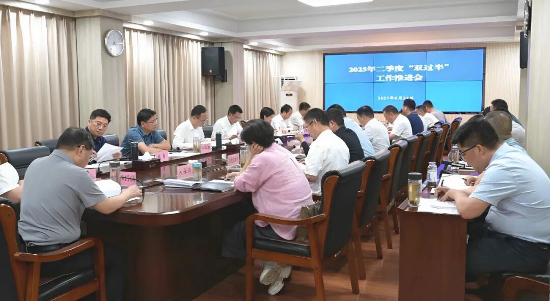 罗田县举行2025年二季度“双过半”工作推进会