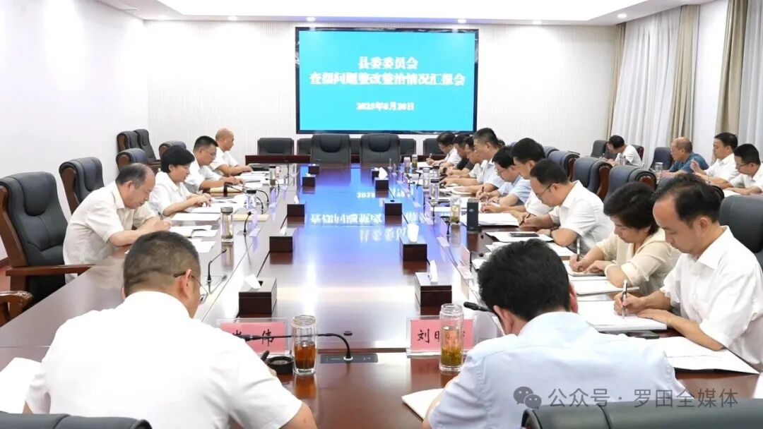 县委委员会召开查摆问题整改整治情况汇报会