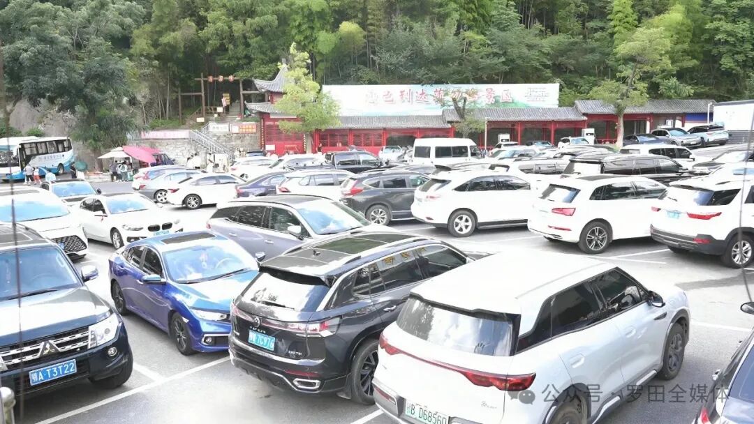 薄刀峰避暑正当时：“清凉嗨夏”活动带游客畅享多元夏日体验