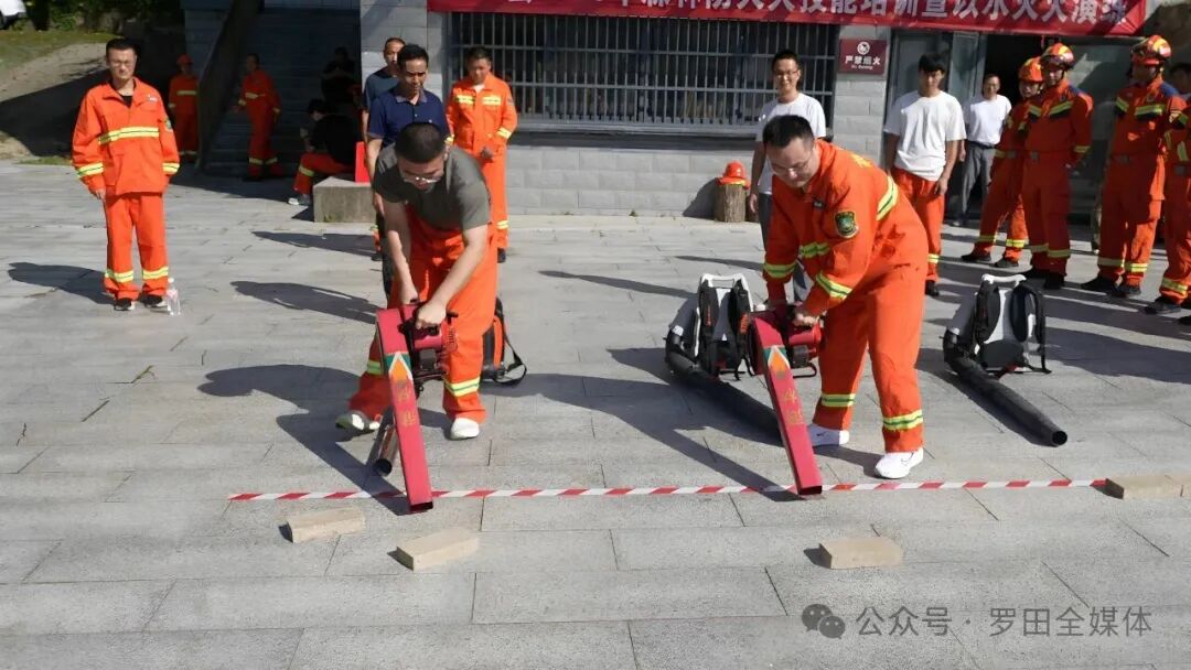 县林业局：多管齐下筑牢生态安全屏障