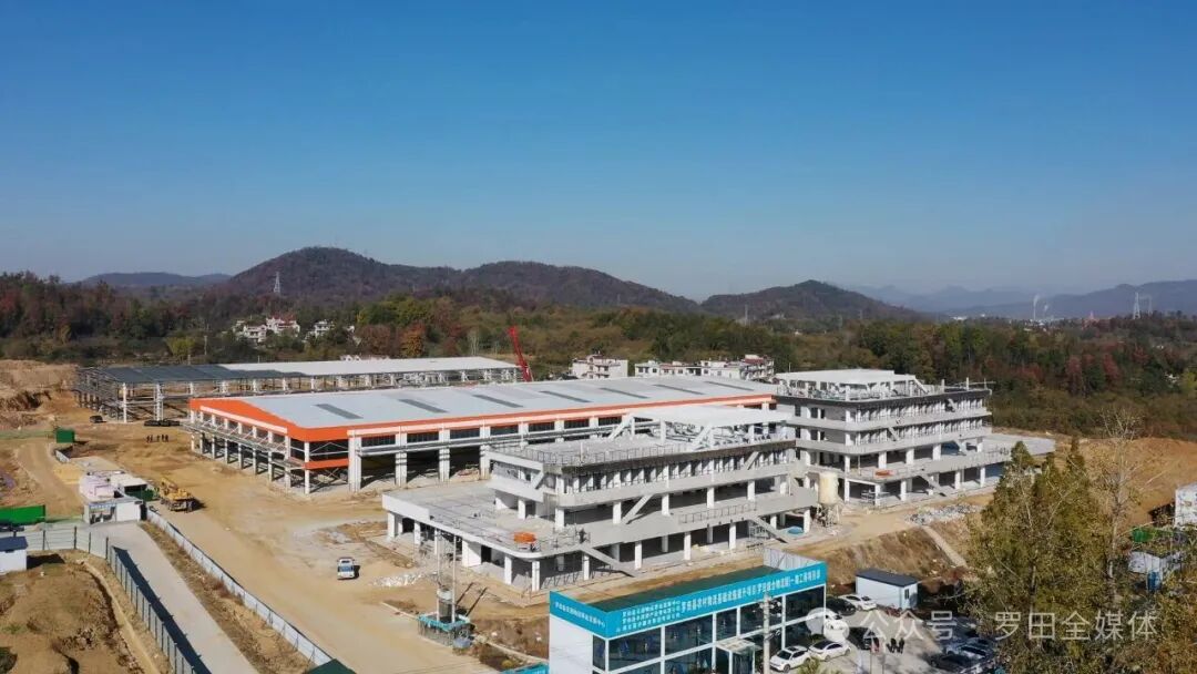 县发改局：以“项目为王”通过精准服务筑牢发展根基